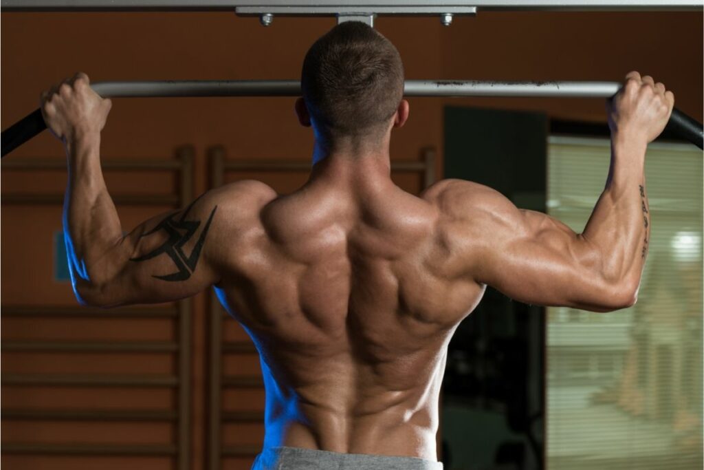 What Muscles Do Pull Ups Work